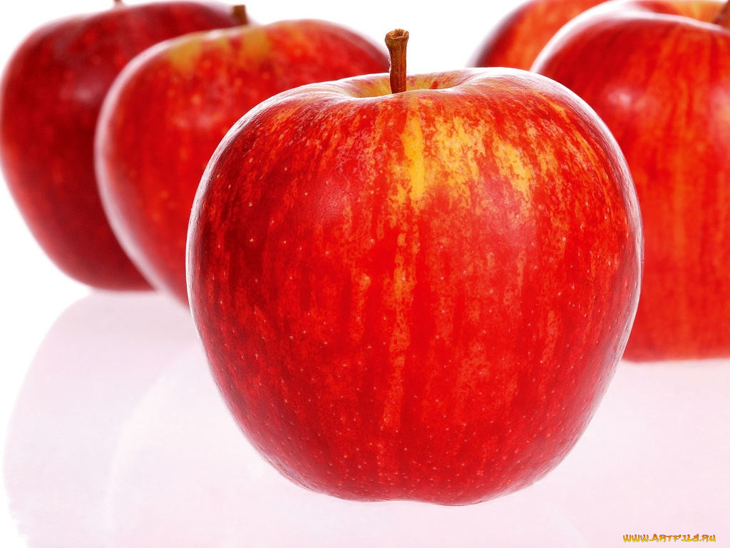 , 